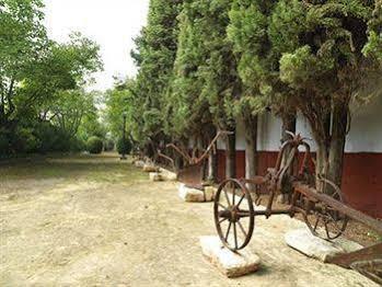 Hacienda La Vereda 蒙蒂利亚 外观 照片